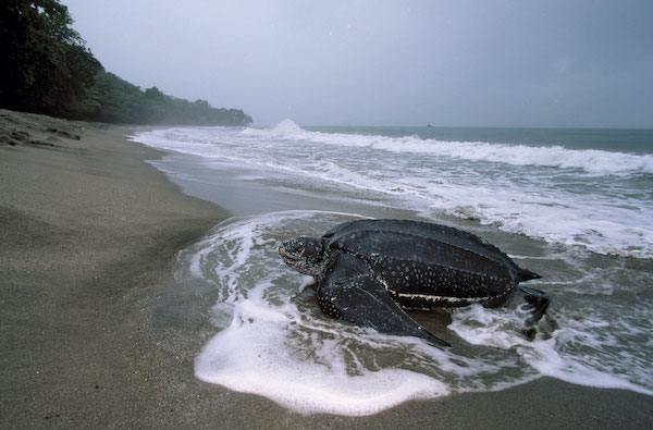 Costa Rica