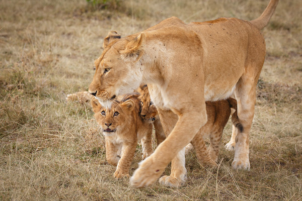 Kenya