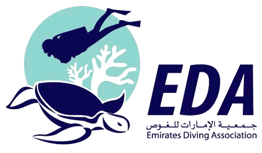 EDA