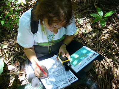Stamp collecting in Brazil