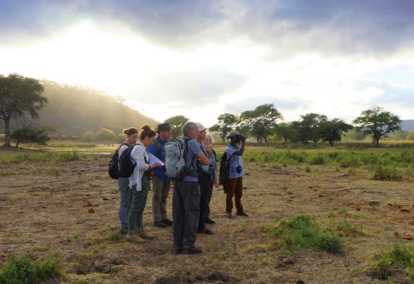 On a hippo transect