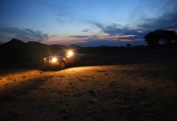 On a night transect
