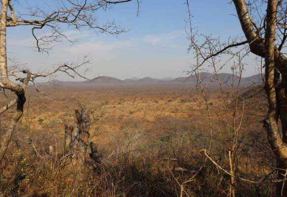 Inside Vwaza Reserve