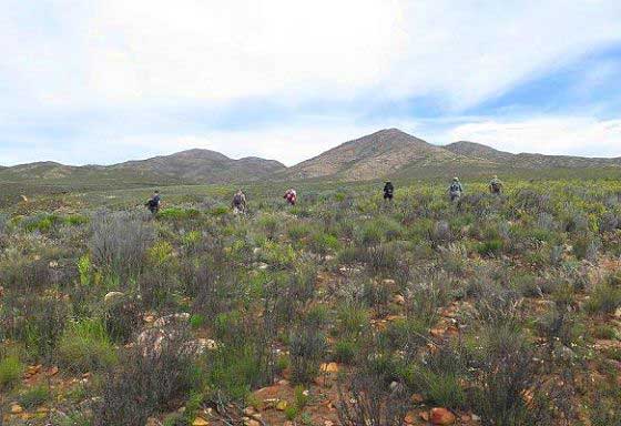 Surveying for mammals