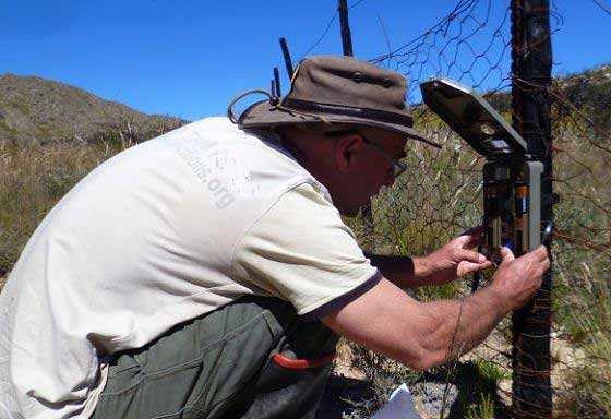 Setting a camera trap
