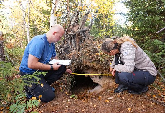 Measuring a winter den