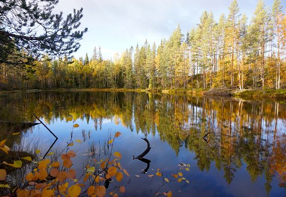 Swedish landscape