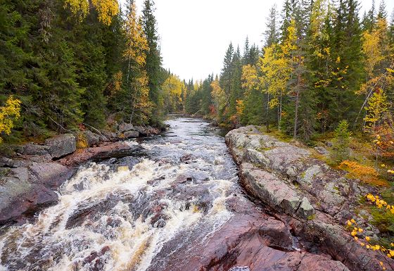 Swedish landscape