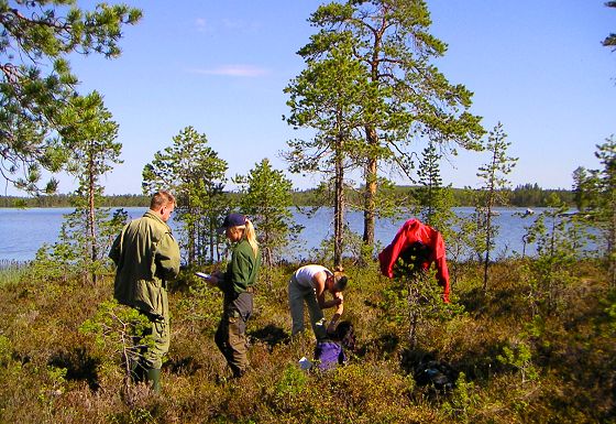 Documenting a site (c) Bjoern & Vildmark