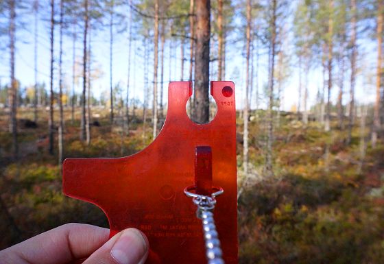 Recording tree thickness