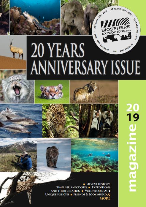 Magazine 2019