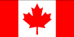 Maple leaf