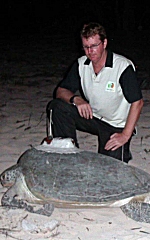 Glenn McFarlane