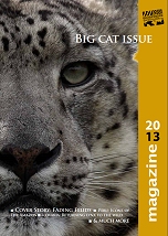 Magazine 2013