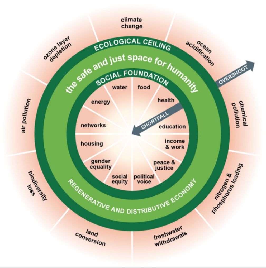 No 19 - doughnut economics
