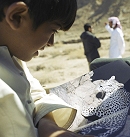 Oman
